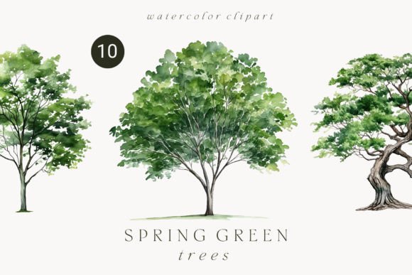 Download Watercolor Green Tree Forest Clipart - Forest Collection